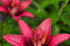 Chalupczak-M.-S-1_Easy-Resize.com_