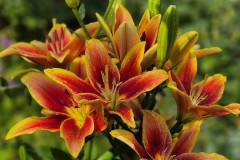 Chalupczak-M.-S-3_Easy-Resize.com_