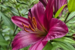 Chalupczak-M.-S-4_Easy-Resize.com_