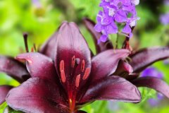 Chalupczak-M.-S-6_Easy-Resize.com_