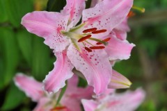 Chalupczak-M.-S-7_Easy-Resize.com_