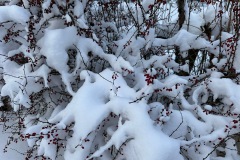 09c87ee2-ff40-4573-b08a-8c818bd85093