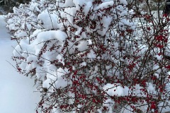 59669a0f-4ced-406e-a0ed-07e810334127