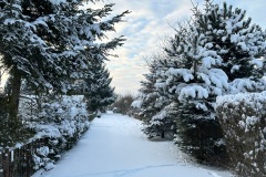 61ccc455-b006-4125-99a5-80e5c5020679