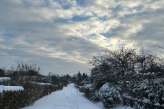 67bb7fb1-d750-43b2-94dc-c64d40d5fe8b