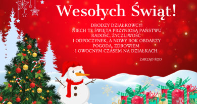 Wesołych świąt! Wesołych świąt!